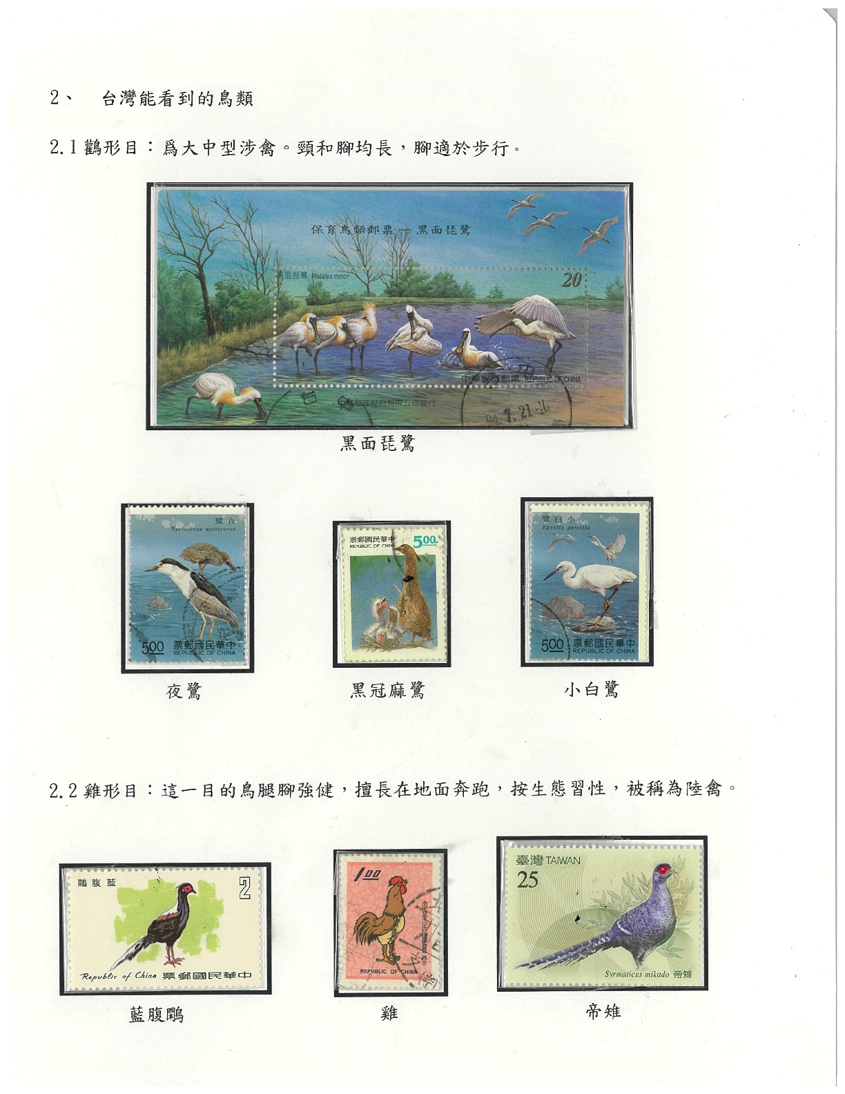 鳥類-6