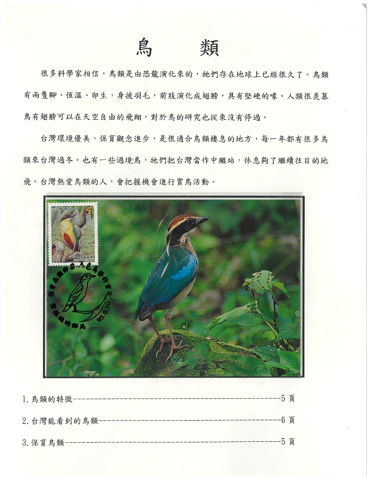 鳥類-1