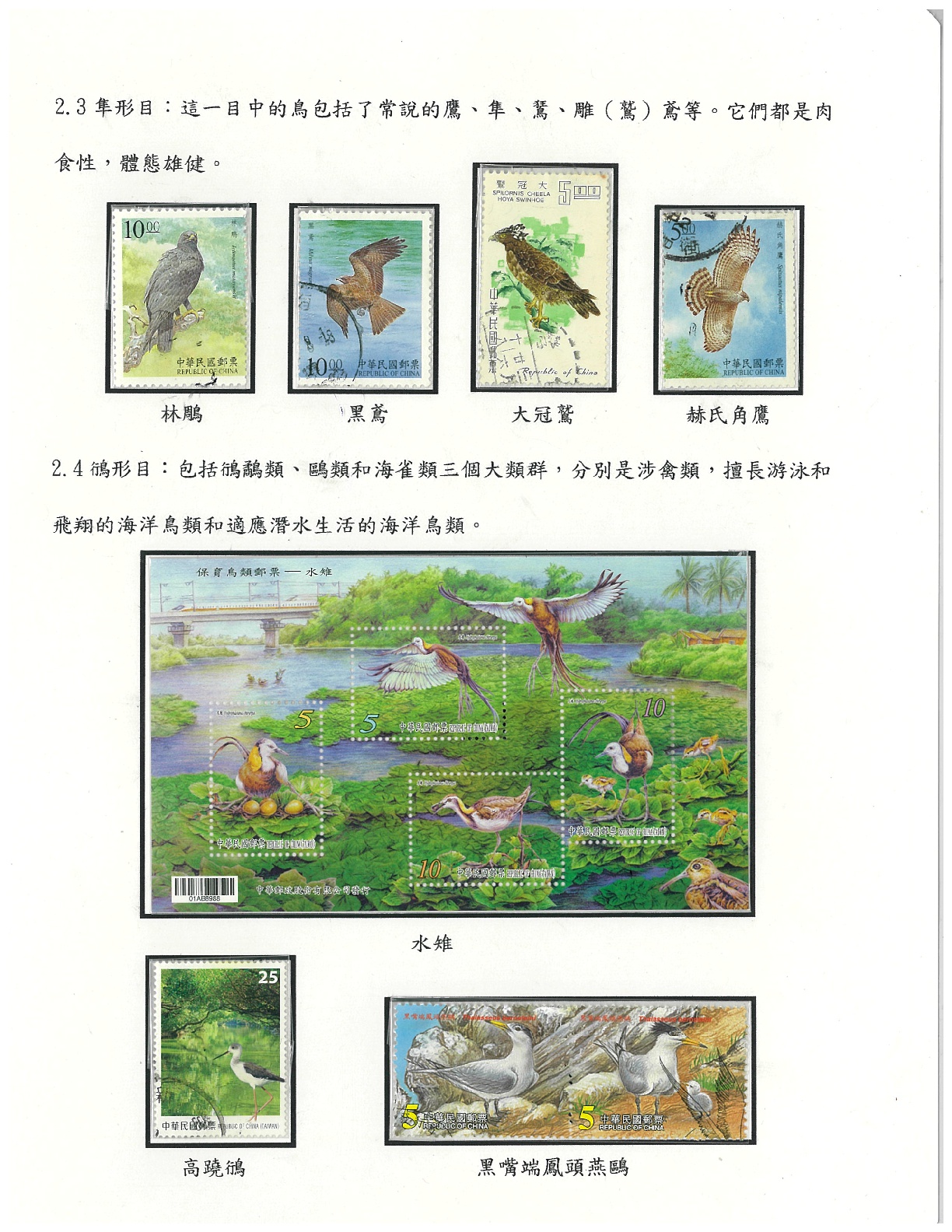 鳥類-7