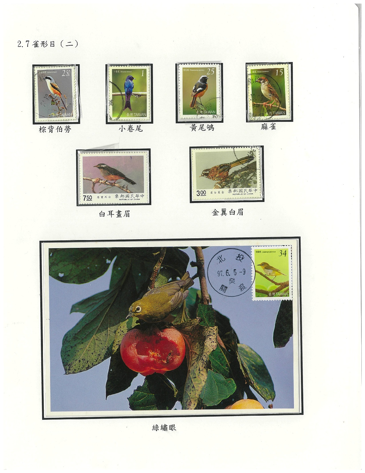 鳥類-10