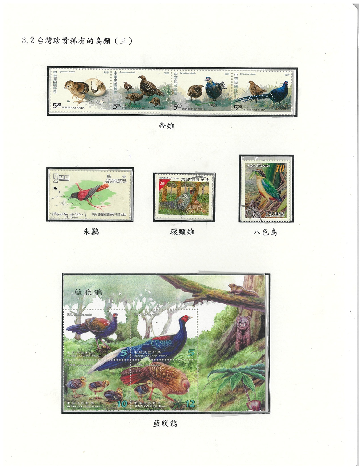 鳥類-15