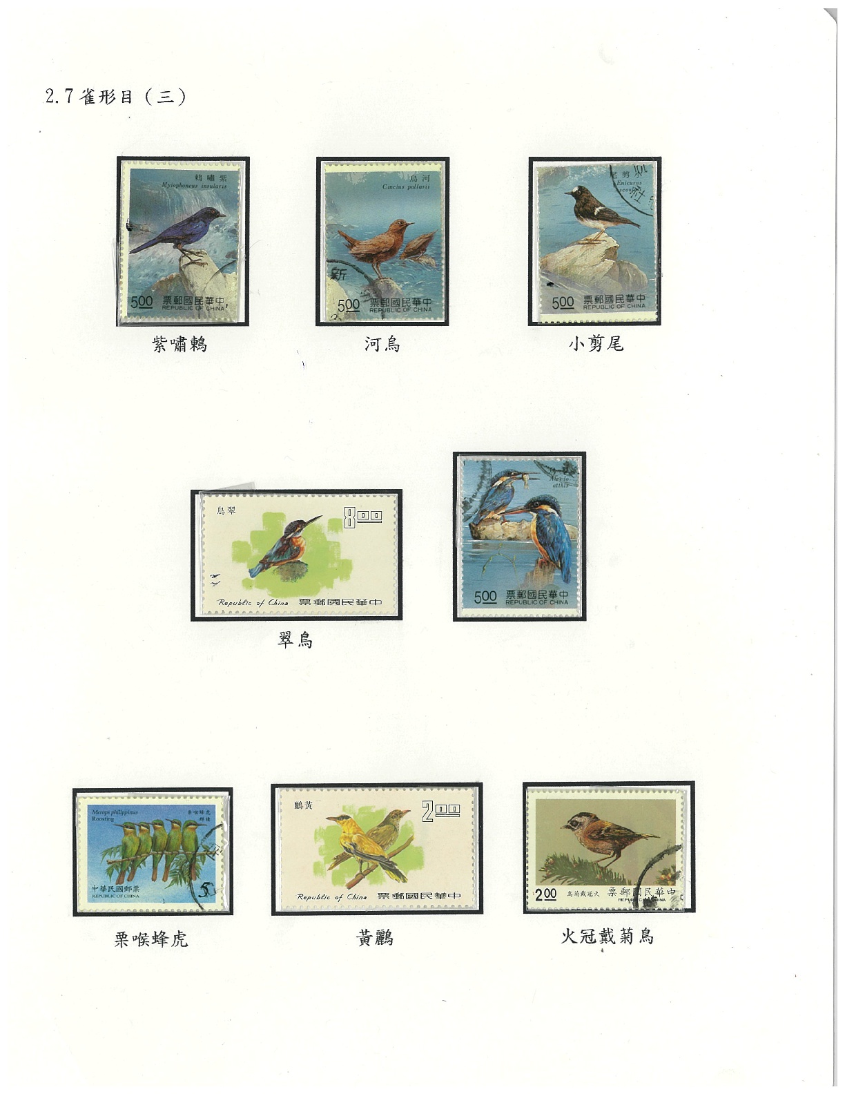 鳥類-11