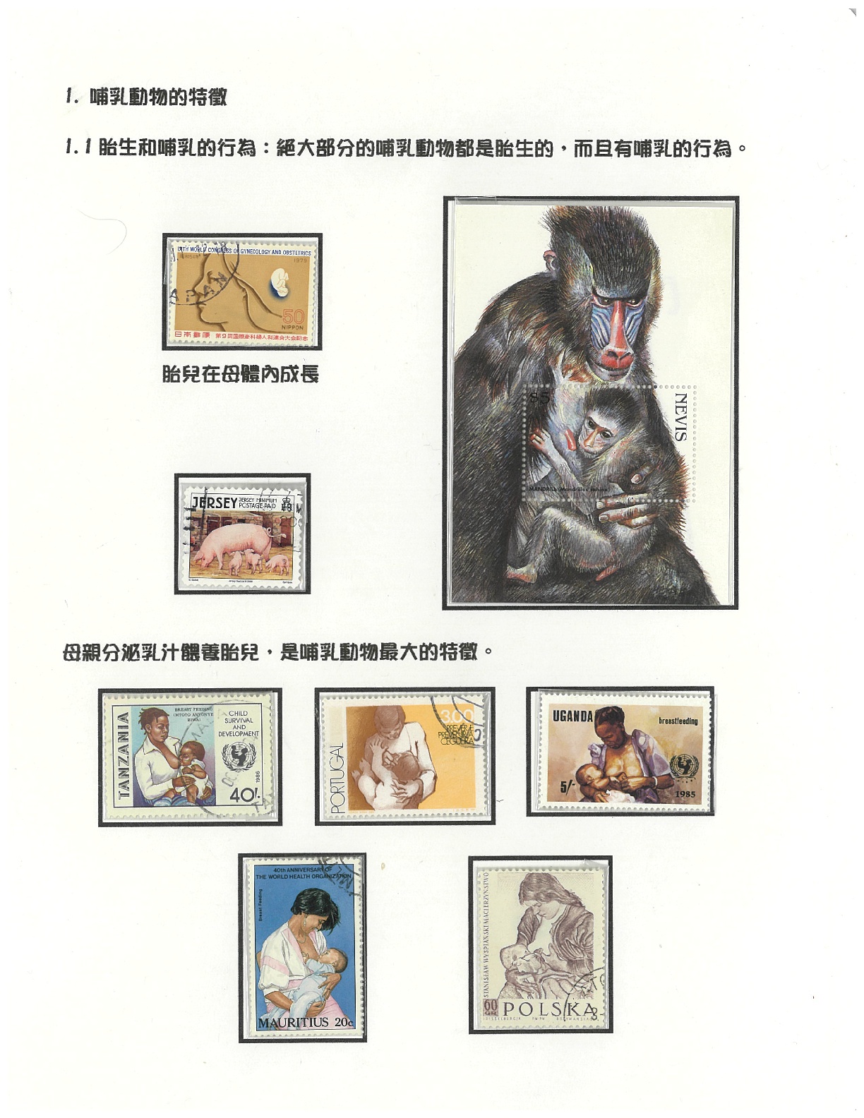 哺乳動物-2