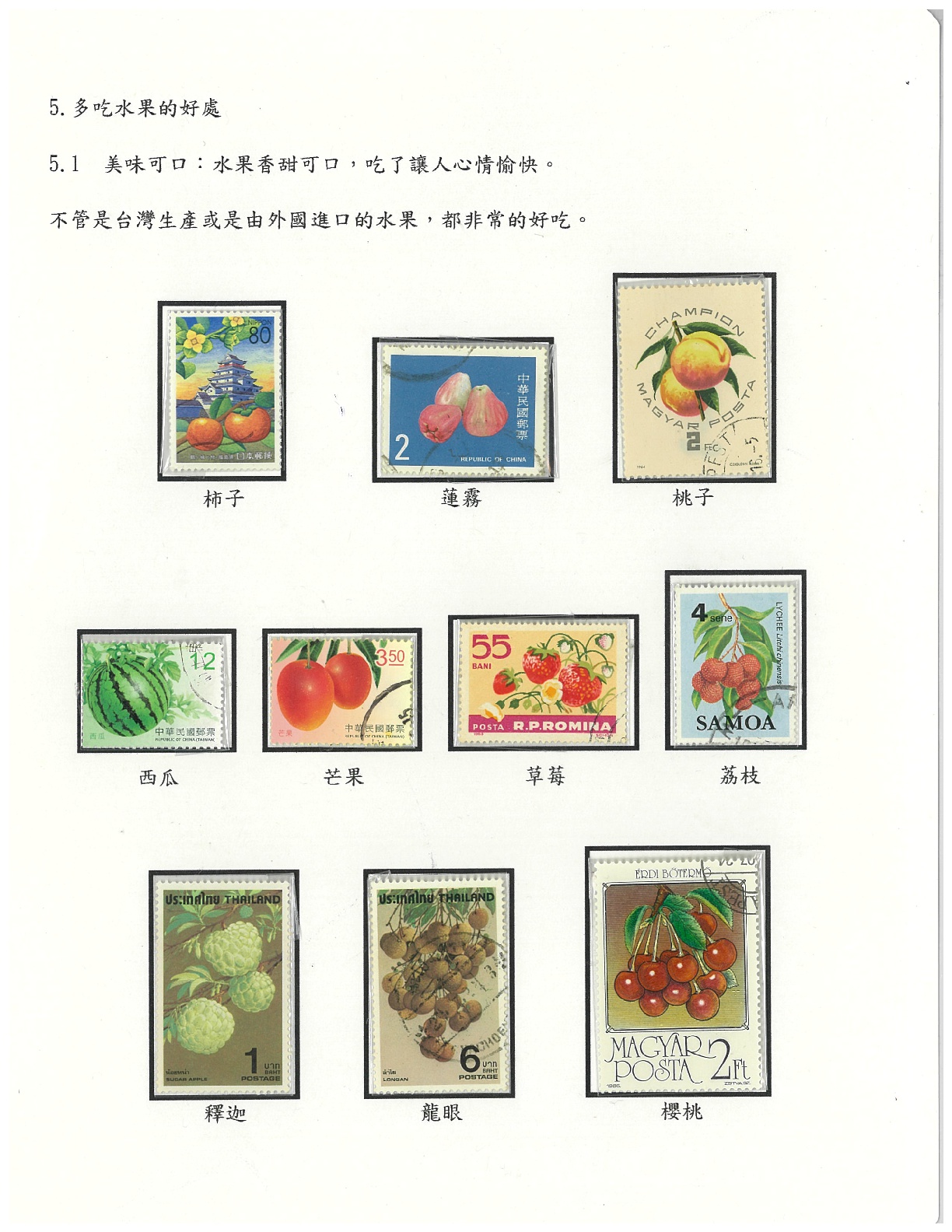 水果-13