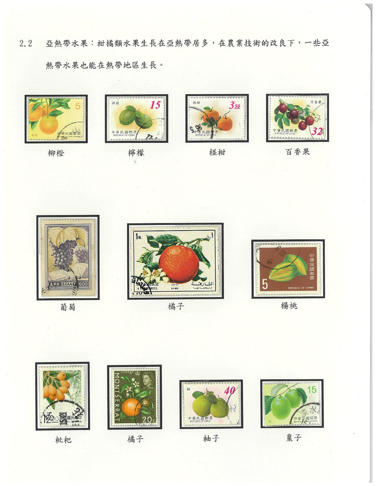 水果-4
