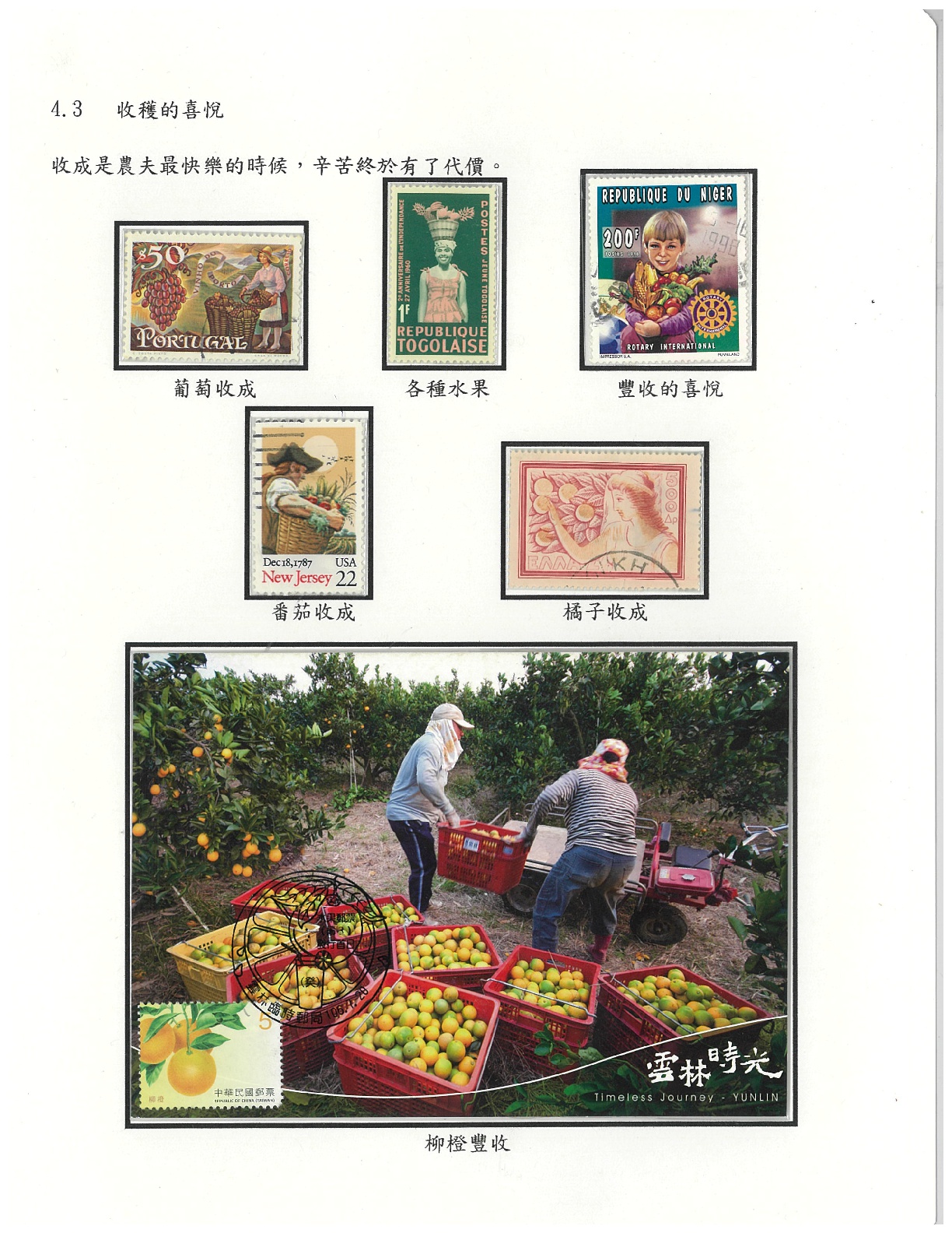 水果-12