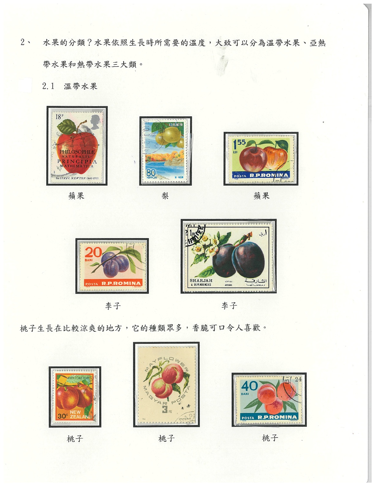 水果-3
