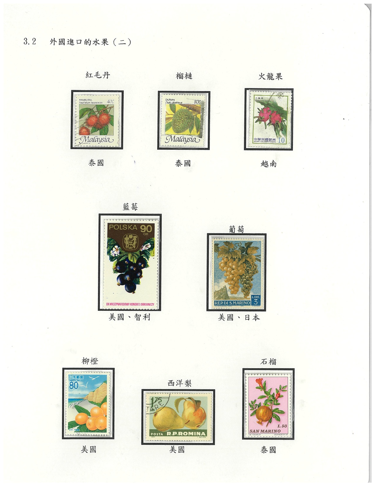 水果-9
